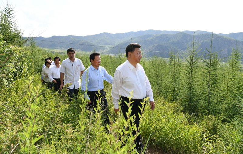 7月15日至16日，中共中央總書記、國家主席、中央軍委主席習近平在內(nèi)蒙古考察并指導開展“不忘初心、牢記使命”主題教育。這是15日下午，習近平在赤峰市喀喇沁旗馬鞍山林場林區(qū)，沿著崎嶇的護林小道察看林木長勢。